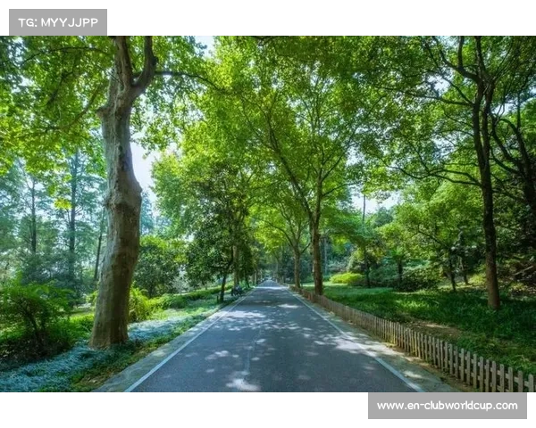深圳骑行绿道扩建计划获批 预计2030年实现全市社区覆盖 深圳骑行绿道扩建计划获批 预计2030年实现全市社区覆盖